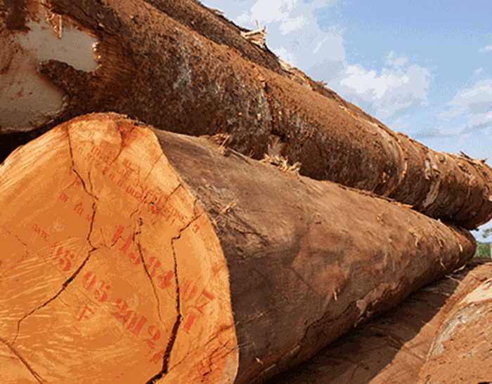 Hardwoods